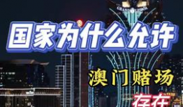 澳门视频,视频中的光影之旅