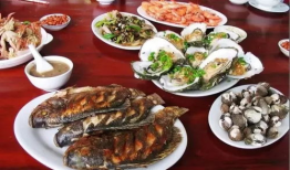 吃海鲜视频,一场味蕾与视觉的完美邂逅